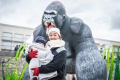 Les Rencontres Internationales de Cerfs-Volants