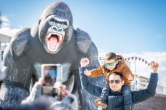 Les Rencontres Internationales de Cerfs-Volants