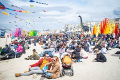 Les Rencontres Internationales de Cerfs-Volants