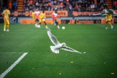 FC Lorient - FC Metz