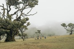 Madeira