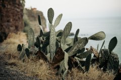 Madeira