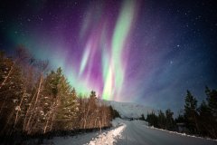 Northern Lights - Tromsø