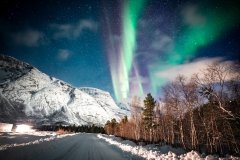 Northern Lights - Tromsø