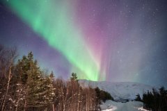 Northern Lights - Tromsø