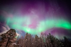 Northern Lights - Tromsø