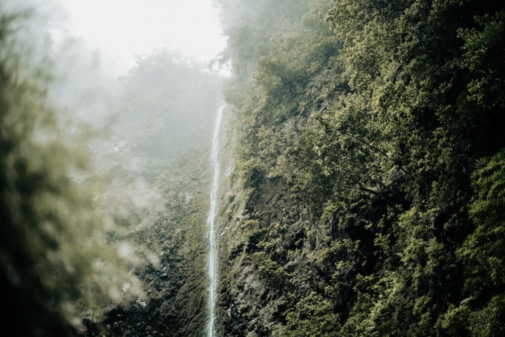 Cascade île de Madère